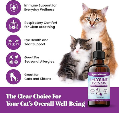 Special Breed L-Lysine for Cats & Kittens ??Immune, Respiratory & Eye Health Support ??Liquid Cat