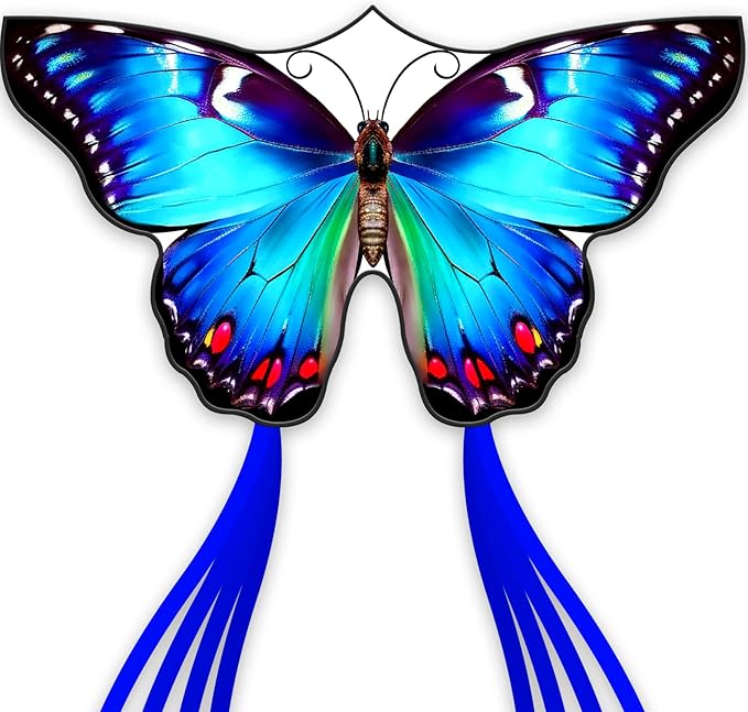 Beautiful Butterfly Kites for Boys and Girls,Large Easy to Flyer with String and Handle,Beach Kite