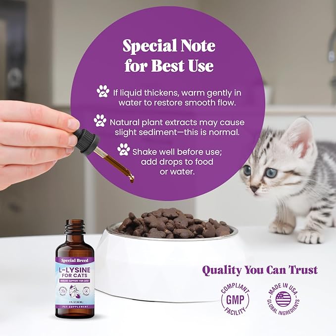 Special Breed L-Lysine for Cats & Kittens ??Immune, Respiratory & Eye Health Support ??Liquid Cat