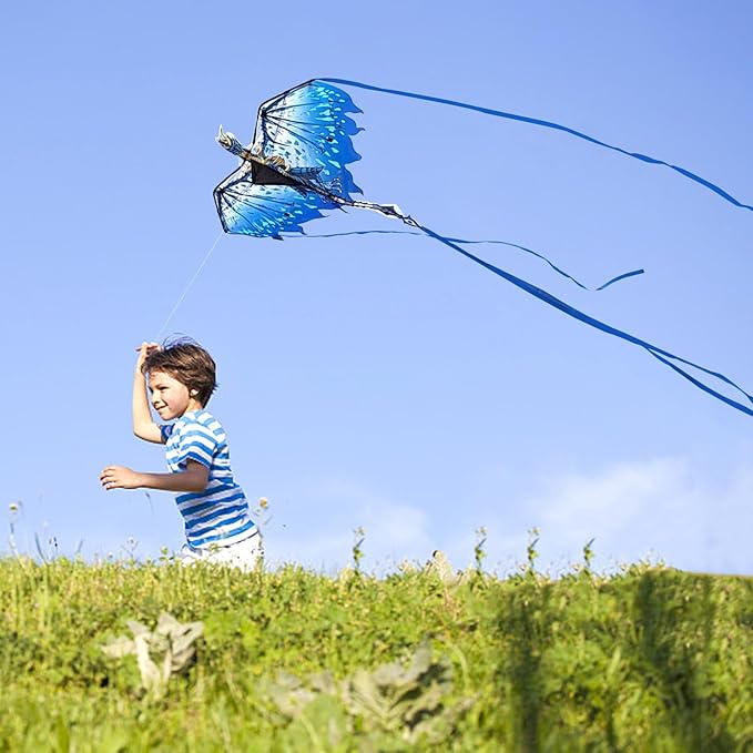 Mint's Colorful Life Dragon Kite for Kids & Adults, Easy to Fly Best Beach Kites for Beginners