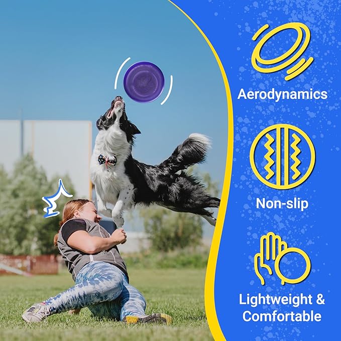 Wham-O Frisbee Go Flying Disc, 9 Inch Lightweight Sports Disc for Beginners Outdoor Beach Backyard