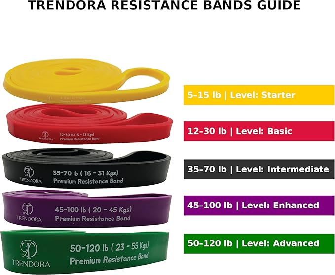 Premium Resistance Bands Set of 5, Exercise Bands, Workout Bands Set for Working Out with Handles