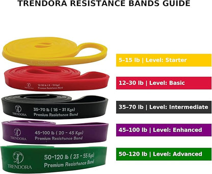 Premium Resistance Bands Set of 5, Exercise Bands, Workout Bands Set for Working Out with Handles