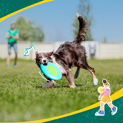 Wham-O Frisbee Go Flying Disc, 9 Inch Lightweight Sports Disc for Beginners Outdoor Beach Backyard