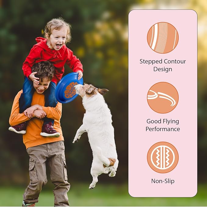 Wham-O Frisbee Fastback Flying Disc, 9.35 Inch Dog-Friendly Lightweight Sports Disc Toy for Outdoor