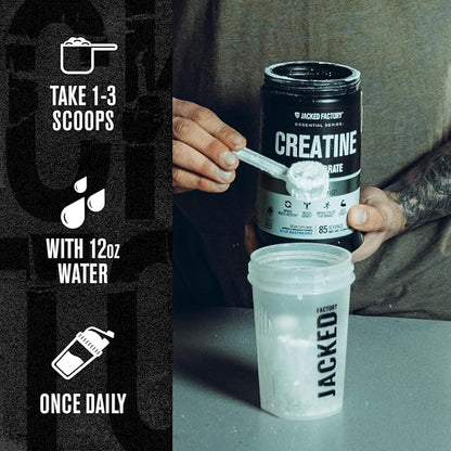 Jacked Factory Creatine Monohydrate Powder 425g - 5g Daily Creatine Supplement for Men and Women