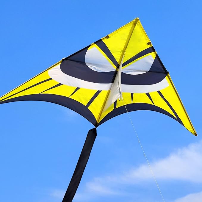 Delta Kite for Kids & Adults - Easy to Fly Large Single Line Beach Kite with 300ft String Handle