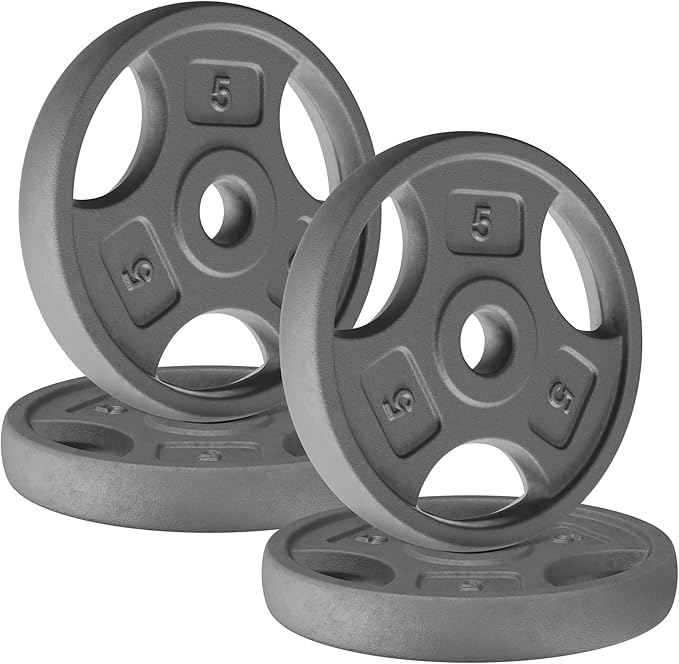 Yes4All Standard 1-Inch Grip Weight Plates, Cast Iron with Multiple Sizes from 2.5 lb to 35 lb for