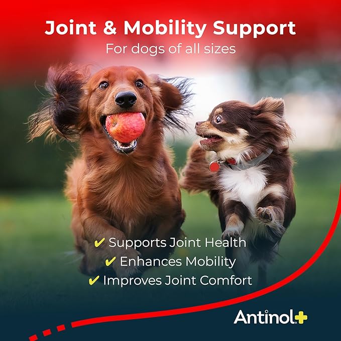 Plus, Mobility, Hip, and Joint Supplement for Dogs, Green-Lipped Mussels and Krill Oil - Dog Joint
