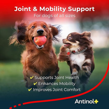 Plus, Mobility, Hip, and Joint Supplement for Dogs, Green-Lipped Mussels and Krill Oil - Dog Joint
