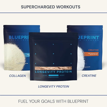 Blueprint Bryan Johnson Creatine Monohydrate Powder – Amino Acid Powder - Suppliment Supports