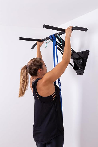 PULLUP & DIP Fitness Bands, Resistance Bands with Bag, Door Anchor (with Sets) and Exercise Guide