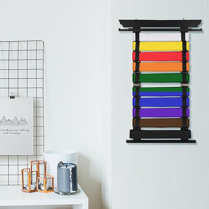 JUXYES Wall Hanging Martial Arts Belts Organizer for 10 Belts with Medal Hanger and Stickers