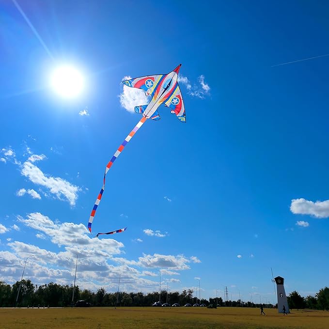 Delta Kite for Kids & Adults - Easy to Fly Large Single Line Beach Kite with 300ft String Handle
