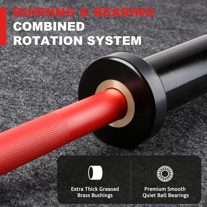 LIONSCOOL Premium 4ft/4.9ft/6ft Barbell for Strength Training and Olympic Weightlifting, 2 Inch Bar