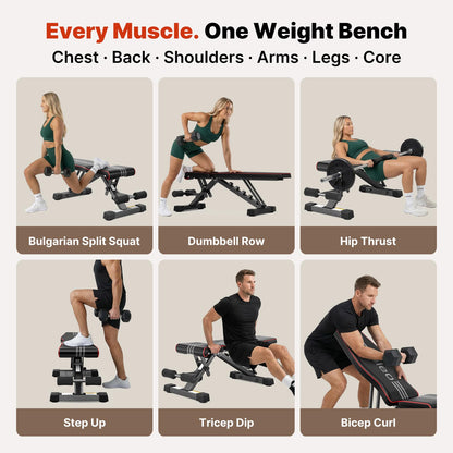 YOLEO Adjustable Weight Bench for Home Gym, ASTM-Certified 827LBS, 98% Pre-Assembled, Foldable Gym