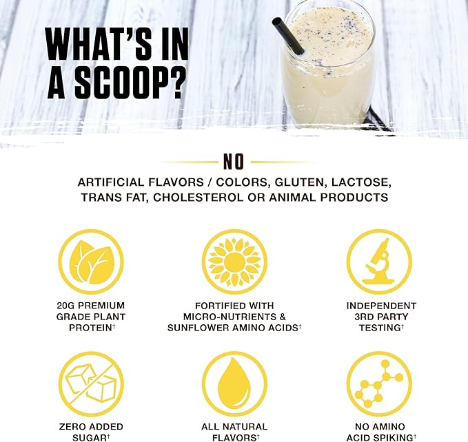 Ambrosia Planta - Premium Plant-Based Protein | Vegan & Keto Friendly | Gourmet Flavors with No
