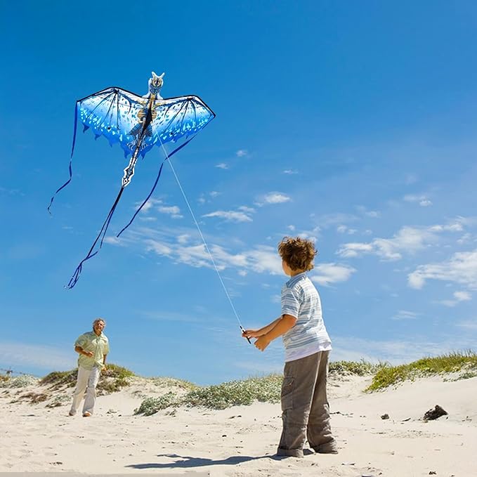 Mint's Colorful Life Dragon Kite for Kids & Adults, Easy to Fly Best Beach Kites for Beginners