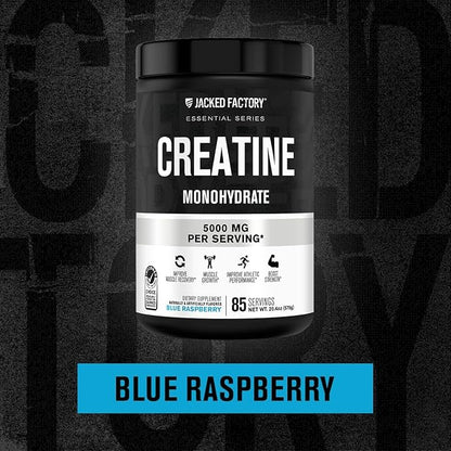 Jacked Factory Creatine Monohydrate Powder 425g - 5g Daily Creatine Supplement for Men and Women