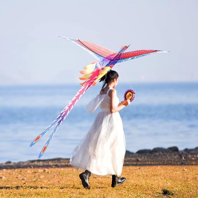 Mint’s Colorful Life Large Kite for Kids and Adults, Easy to Fly Single Line Beach Kites, Comes