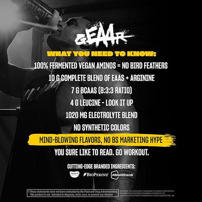 Mutant GEAAR - 9.4g of EAA Powder + Arginine, 7g BCAAs, 4g Leucine, Electrolytes, Coconut Water, 30