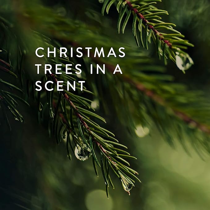Thymes Frasier Fir Scented Candles for Home Decor - Green Pillar Candles for Women & Men - Place on