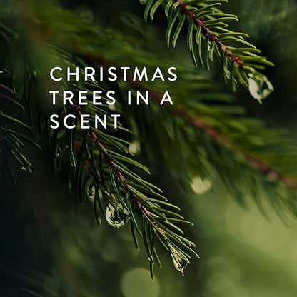 Thymes Frasier Fir Scented Candles for Home Decor - Green Pillar Candles for Women & Men - Place on
