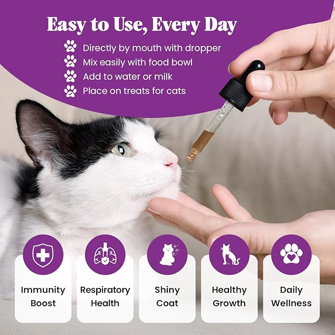 Special Breed L-Lysine for Cats & Kittens ??Immune, Respiratory & Eye Health Support ??Liquid Cat