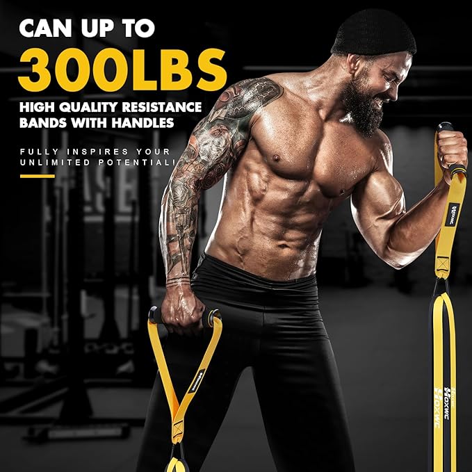 Resistance Bands, Heavy Duty Pull Up Resistance Band with Door Anchor, Handles, Exercise Bands for