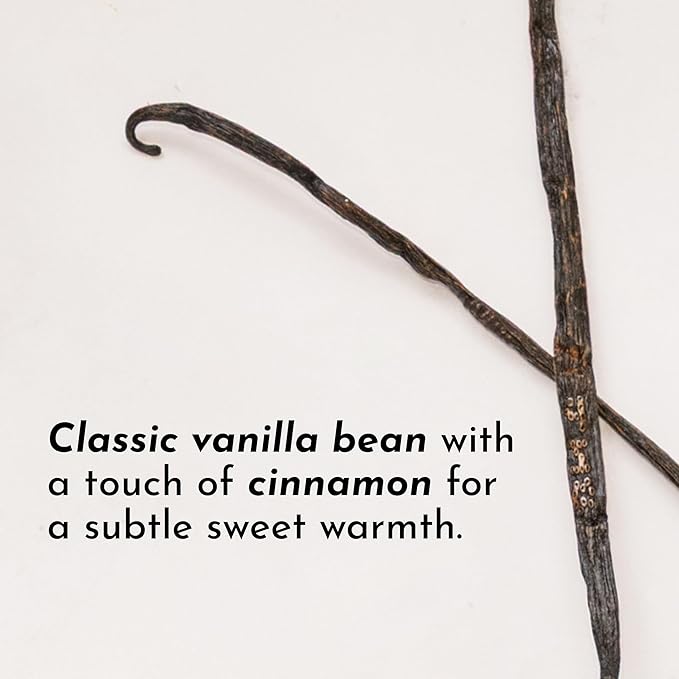 JUST INGREDIENTS Vanilla Bean Protein Powder ??20-Serving Blend with 100% Grass-Fed Whey & Organic