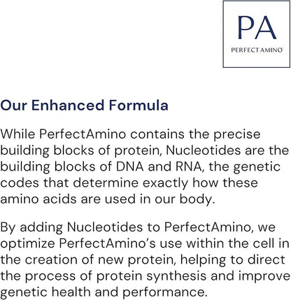 BodyHealth PerfectAmino Powder - BCAA and EAA Powder for Pre and Post Workout - Amino Acid Energy