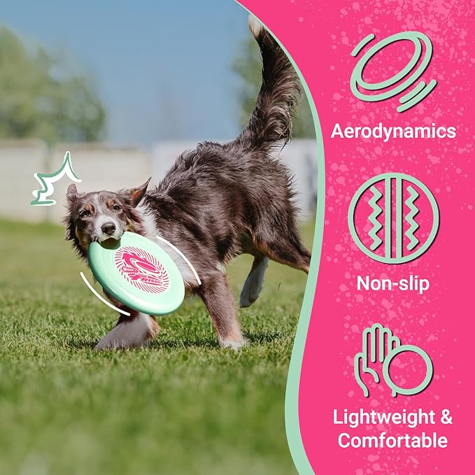 Wham-O Frisbee Go Flying Disc, 9 Inch Lightweight Sports Disc for Beginners Outdoor Beach Backyard