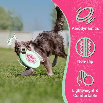 Wham-O Frisbee Go Flying Disc, 9 Inch Lightweight Sports Disc for Beginners Outdoor Beach Backyard