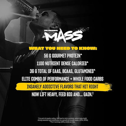 Mutant Mass | Weight Mass Gainer Protein Powder - high Calorie Protein Powder for Muscular Mass