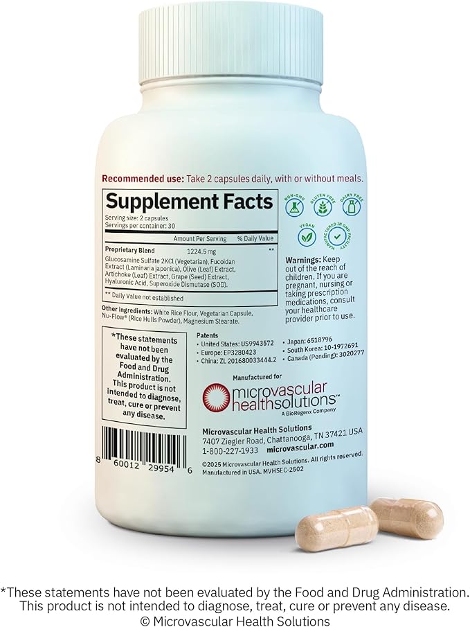 Endocalyx Supplement - Endothelial Glycocalyx Support 60 Capsules - Vascular & Microcirculation