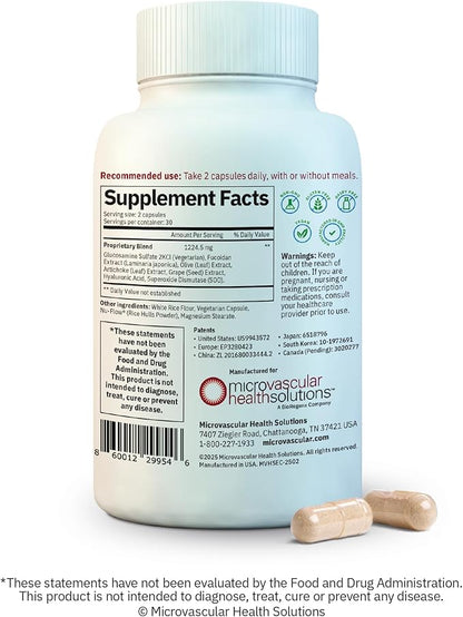 Endocalyx Supplement - Endothelial Glycocalyx Support 60 Capsules - Vascular & Microcirculation