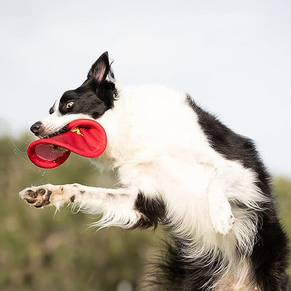 Nerf Dog Nylon Flyer Dog Toy, Flying Disc, Lightweight, Durable and Water Resistant, Great for