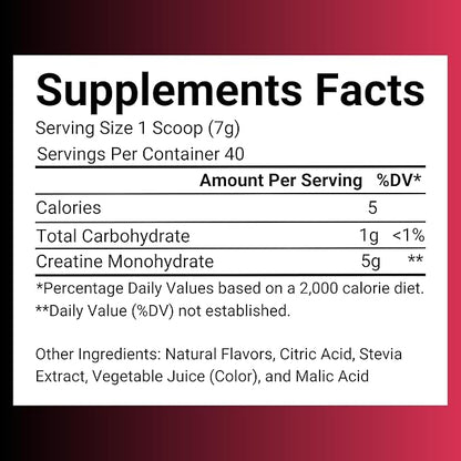 Creatine Monohydrate – 5g Creatine Monohydrate Powder – Advanced Creatine for Women and Men – Bulk