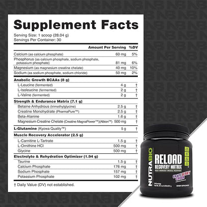 NutraBio Reload - Powerful Muscular Recovery Formula - Post-Workout Supplement - 3G Creatine - 8G