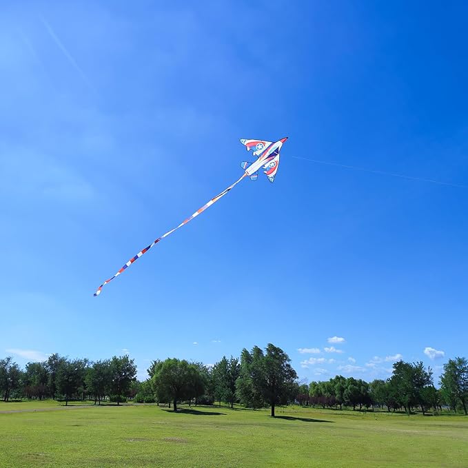 Delta Kite for Kids & Adults - Easy to Fly Large Single Line Beach Kite with 300ft String Handle