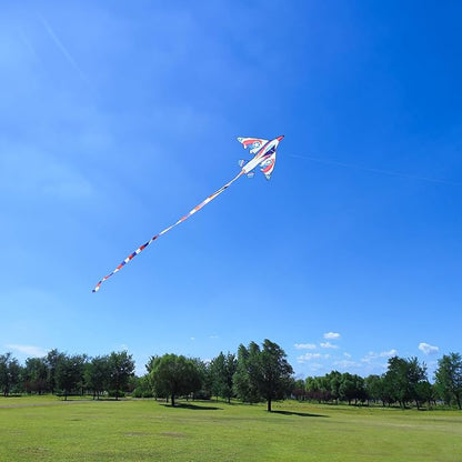 Delta Kite for Kids & Adults - Easy to Fly Large Single Line Beach Kite with 300ft String Handle