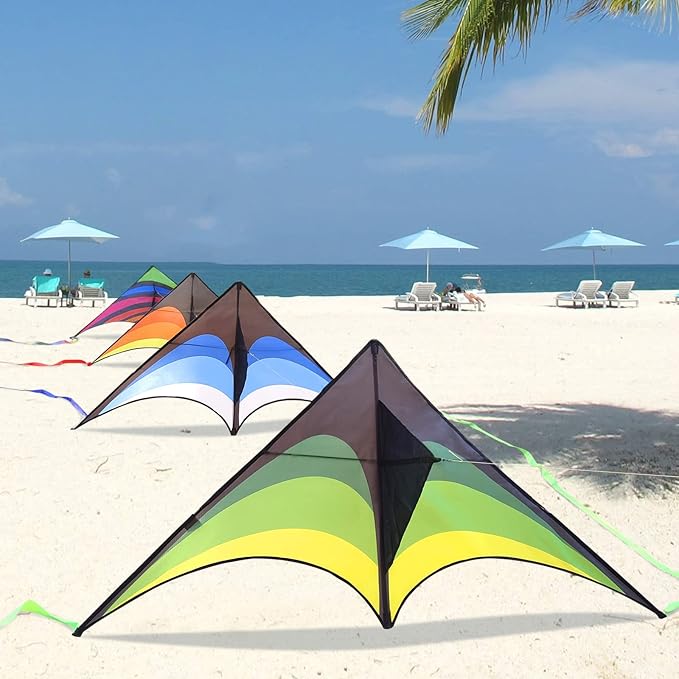 Mint's Colorful Life Delta Kite for Kids & Adults, Extremely Easy to Fly Kite, Best Kites for