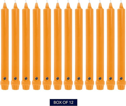 Colonial Candle Unscented Taper Candle, Classic Collection, Caramel, 12 in, Pack of 12 - Up to 10