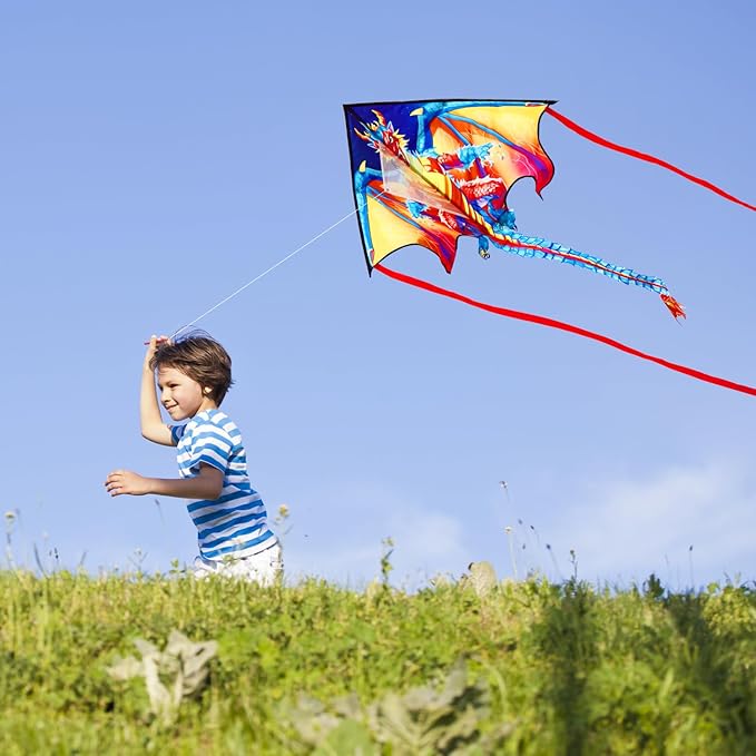 HONBO Large Delta Kite for Kids & Adults,Extremely Easy to Fly Kite for Beach Trip,String Line