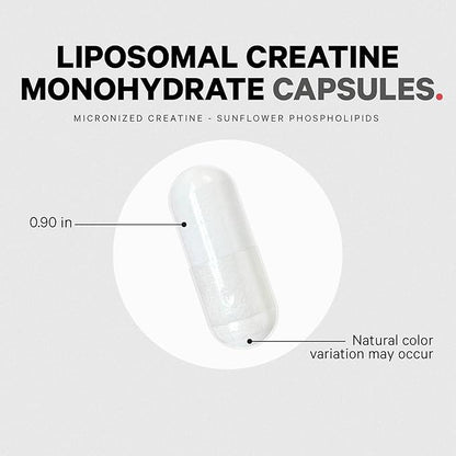 Codeage Liposomal Creatine Monohydrate Supplement, Pure Creatine 2500mg - 3 Months Supply