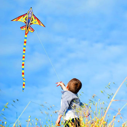 HONBO 58" Fighter Plane - Kite for Kids & Adults, Easy to Fly, Beach Trip Beginner Kite with Reel
