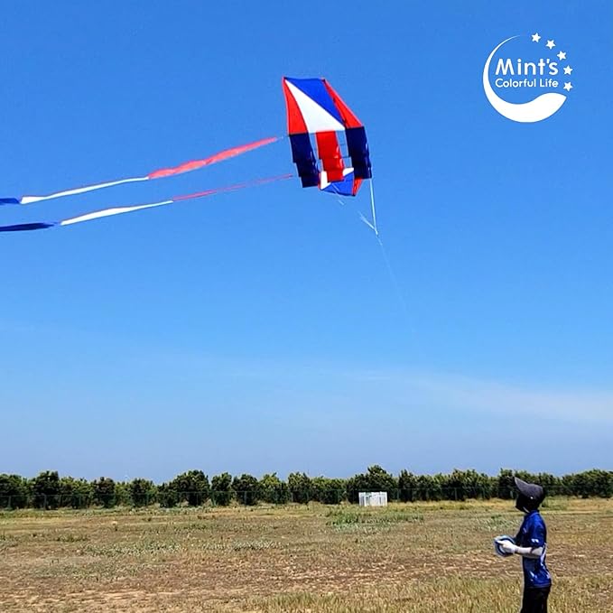 Beach Kites for Adults Large with Long Tail, 98 inches Super Easy Flyer 3D Rainbow Box Kites, Comes