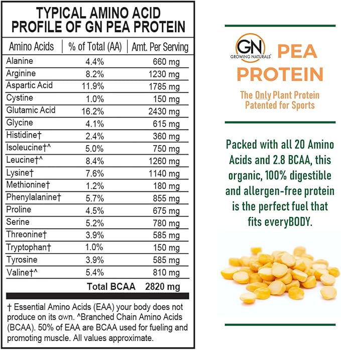 Raw Pea Protein Powder, Vegan Plant Based Protein, BCAA, Low-Carb, Low-Sugar, Original Unflavored