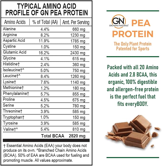 Raw Pea Protein Powder, Vegan Plant Based Protein, BCAA, Low-Carb, Low-Sugar, Chocolate Power, 1
