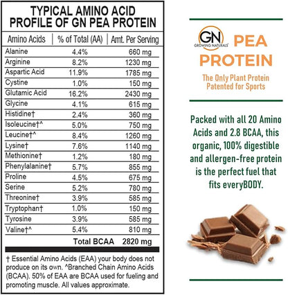 Raw Pea Protein Powder, Vegan Plant Based Protein, BCAA, Low-Carb, Low-Sugar, Chocolate Power, 1